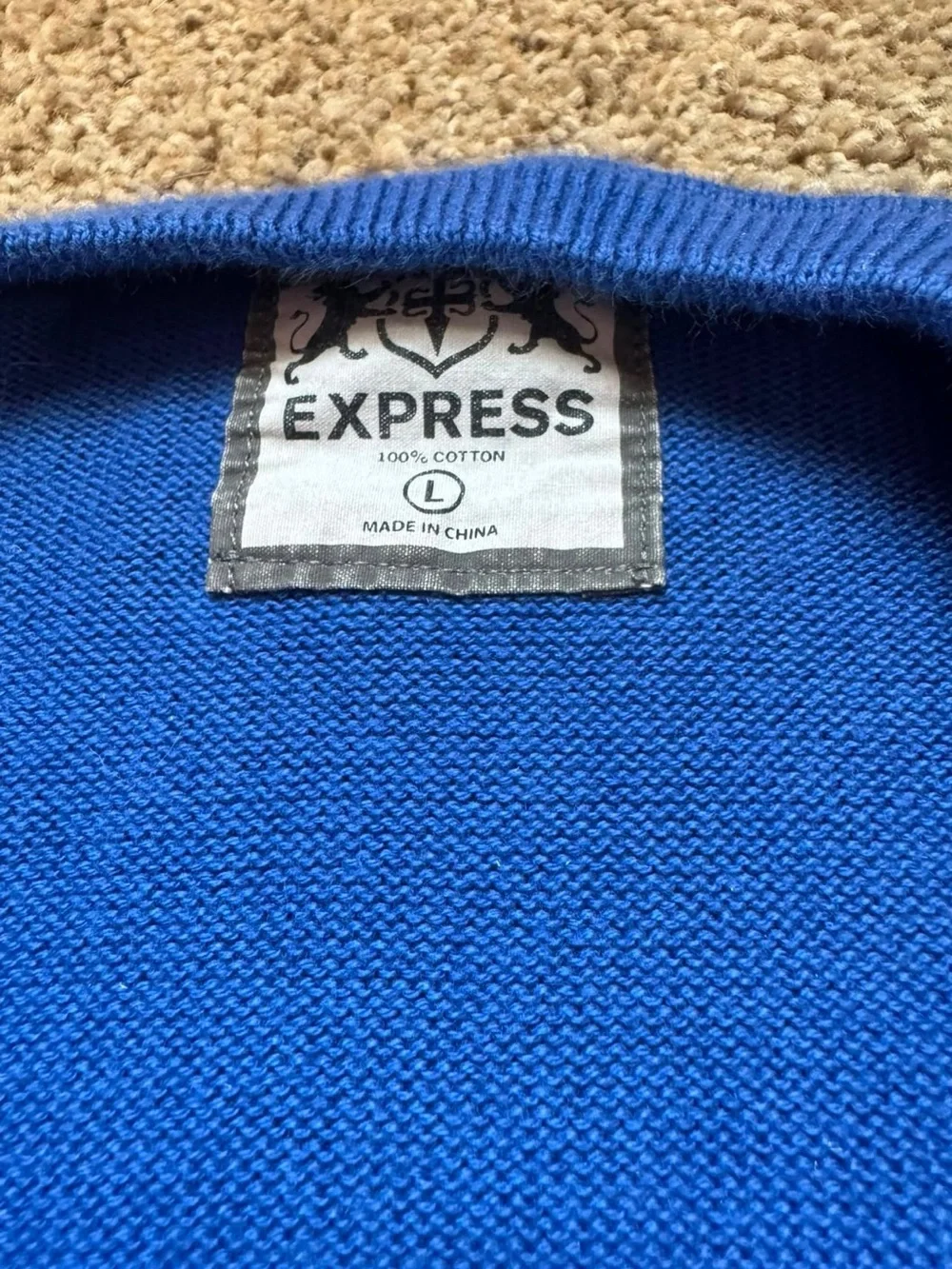 Express Men's V-Neck Sweater in Bright Blue